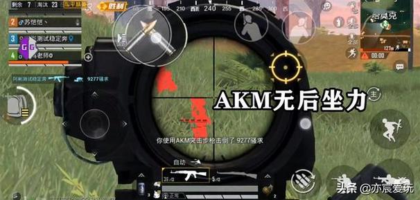 和平精英《北极熊》辅助